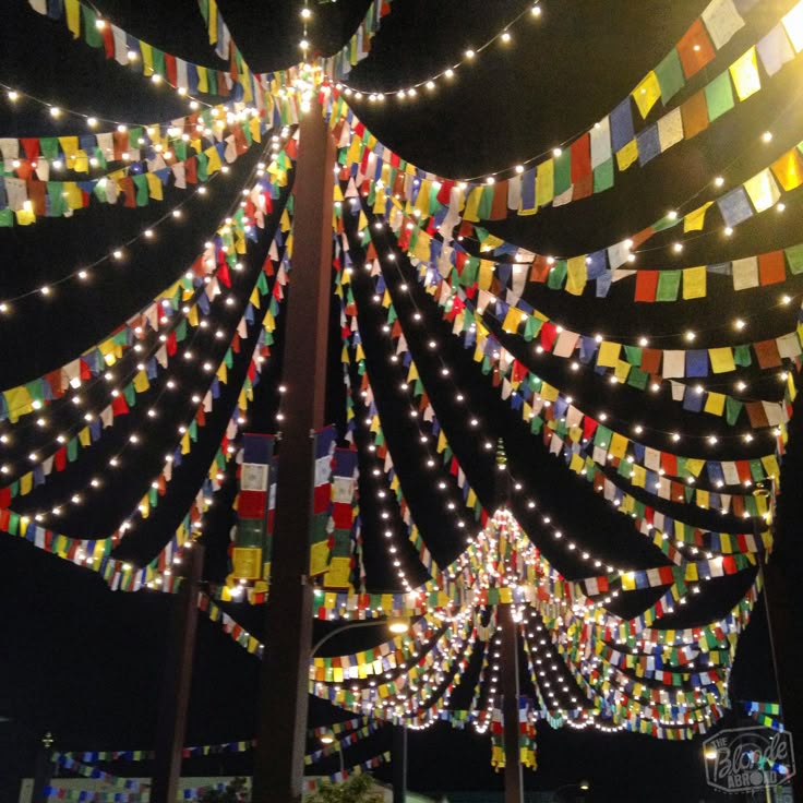 FESTİVAL